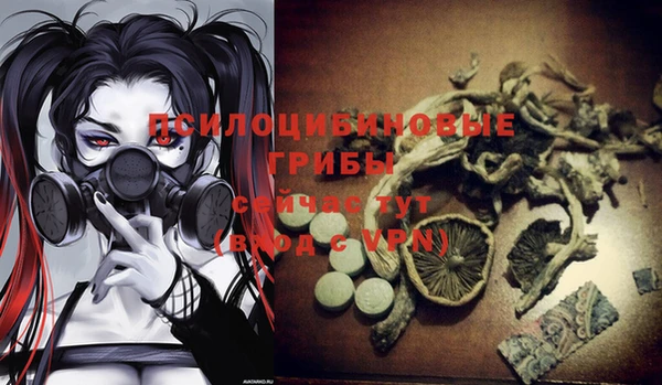 крисы Абинск