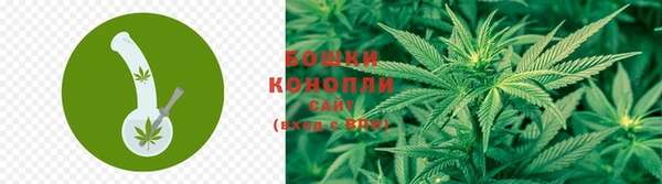 сатива Абдулино