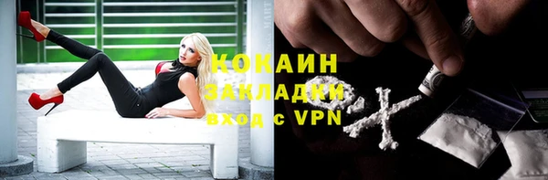 ПСИЛОЦИБИНОВЫЕ ГРИБЫ Алексеевка