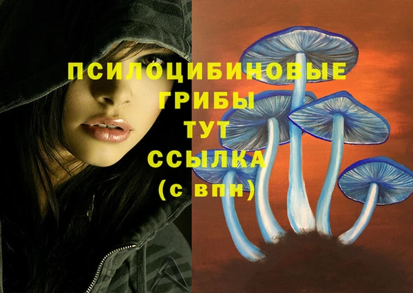 MESCALINE Михайловка
