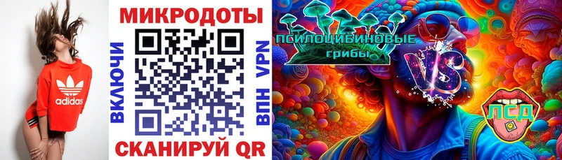 Псилоцибиновые грибы Cubensis  Анива 